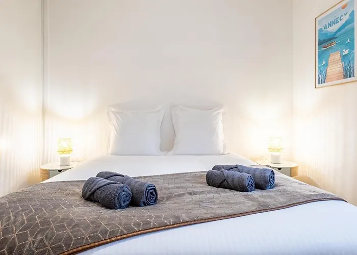 La Canopee D'annecy - Spacieux T3 Situe A L'entree De La Vieille Avec Garage Et Grande Terasse Apartment Annecy